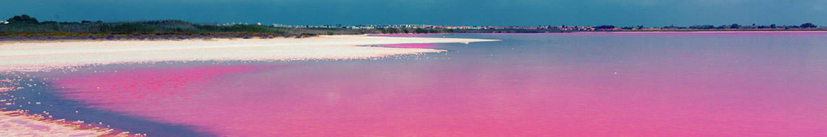 Laguna Salada de Torrevieja